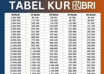 Syarat Pinjaman KUR BRI 2025 Pinjaman Rp100 Juta Cicilan dan Bunga Rendah