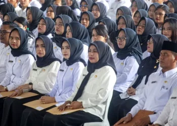 Seleksi PPPK Paruh Waktu 2025: Peserta Menanti Pengumuman Kelulusan, Ini Tahapan Resmi yang Wajib Diketahui