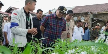 Bupati Deli Serdang Dukung Inovasi Pertanian Untuk Ketahanan Pangan