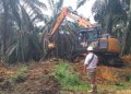 Kementerian Pertanian Dorong Percepatan Program Peremajaan Sawit Rakyat Melalui Jalur Kemitraan