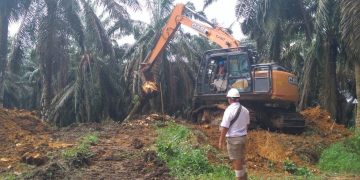 Kementerian Pertanian Dorong Percepatan Program Peremajaan Sawit Rakyat Melalui Jalur Kemitraan