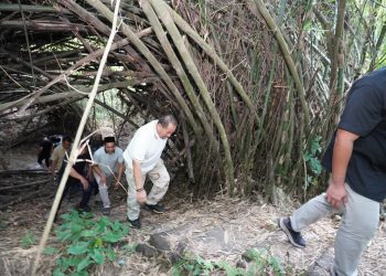 Bupati Batu Bara Tinjau Sumber Mata Air, Dorong Pengelolaan Optimal